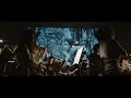 AMAZONIA VILLA-LOBOS
