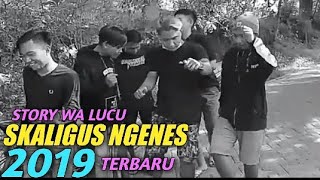Story wa lucu terbaru 2019