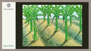 How to draw Banana garden step by step banana trees drawing Banana tree scenery