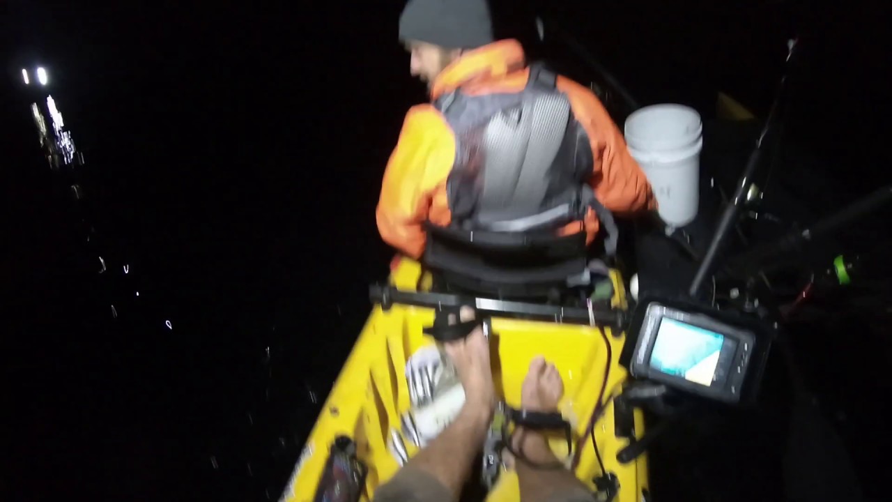 Big Eagle Ray from a kayak, Busselton Western Australia