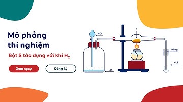 [Mô phỏng thí nghiệm] 🥚💨S + H2 🥚💨 Sulfur tác dụng với Hydrogen - Hóa học 10