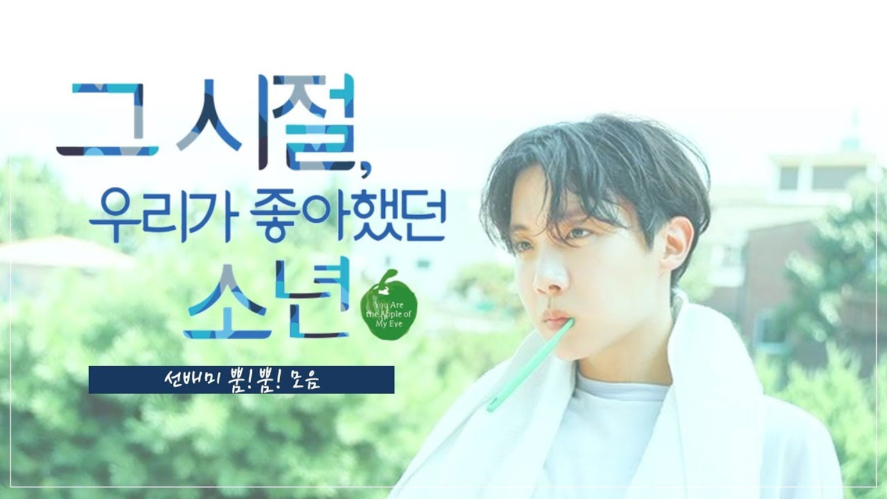 방탄소년단/제이홉 | BTS/J-HOPE | 정호석 선배미 뿜!뿜! 모음