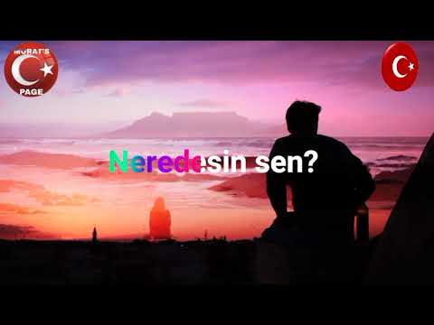 Şu Garip Halimden & Neredesin Sen? - KARAOKE *NEŞET ERTAŞ*