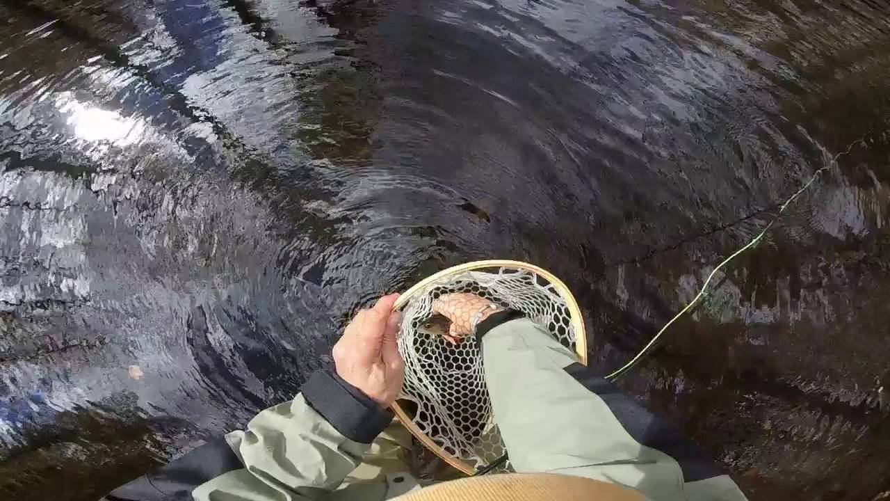 Fly Fishing Pepperell MA 10 17 2015 YouTube