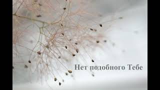 картинка: Нет подобного Тебе  -  Ханя і Ядзя Багдановіч
