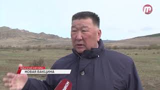 В Бурятию поступила новая вакцина от бешенства диких животных В Бурятию поступила новая вакцина от бешенства диких животных