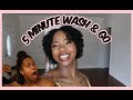 5 Minute Wash And Go Natural Hair | Easiest Wash and Go