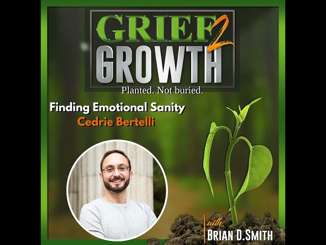Finding Emotional Sanity: A New Path to Healing wi...