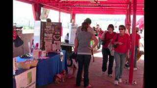 2009 Iams Bark in the Park in Cincinnati
