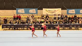 Vgl Niel Acro Inaya-Nina-Jitse Pv Bazel -- Bad Romance