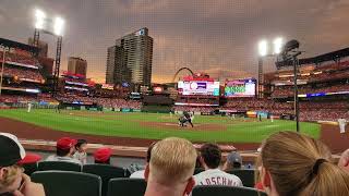 Sitting right behind home plate at Busch stadium