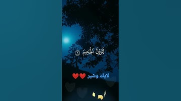 سورة التكاثر للقارئ أحمد سعد