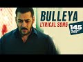 Lyrical: Bulleya Song with Lyrics | Sultan | Salman Khan | Anushka Sharma | Irshad Kamil