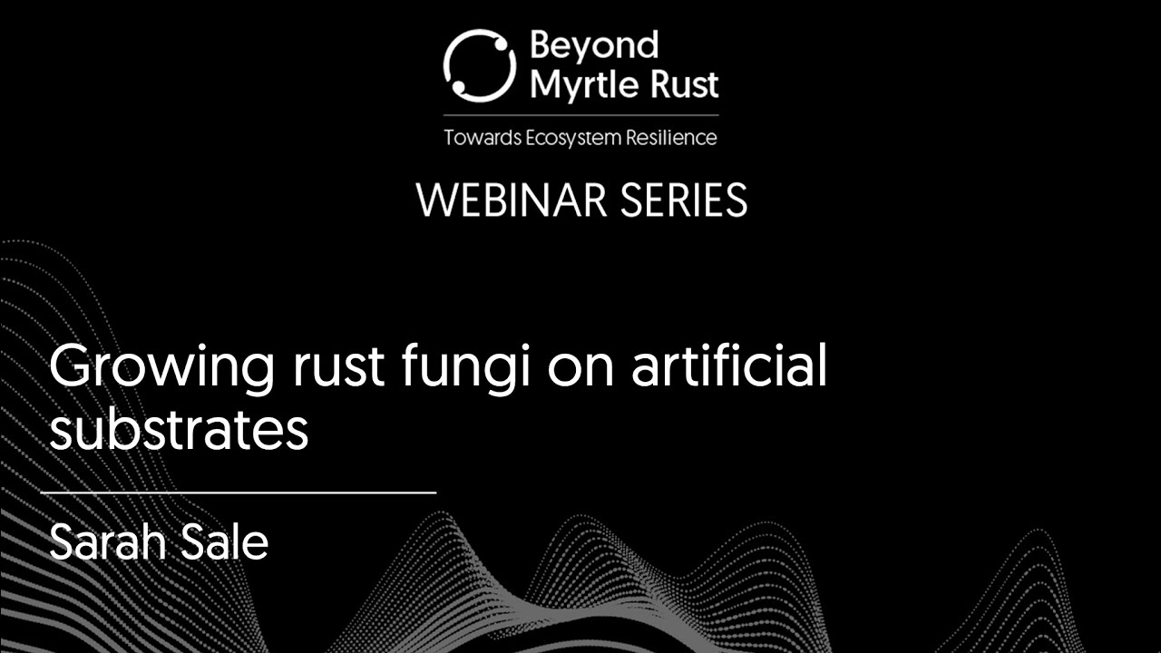 Beyond Myrtle Rust: Growing rust fungi on artificial substrates
