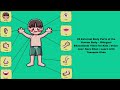 25 External Body Parts of the Human Body, Voice-over: Sara Khan | Learn with Tasneem Khan