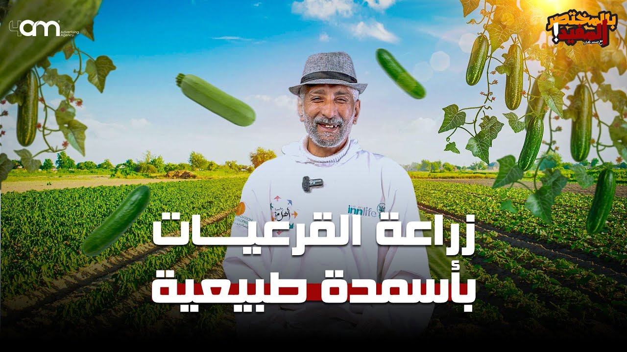 زراعة الخيار والكوسة بأسمدة منزلية طبيعية ( ملف كامل ) من البذرة للحصاد