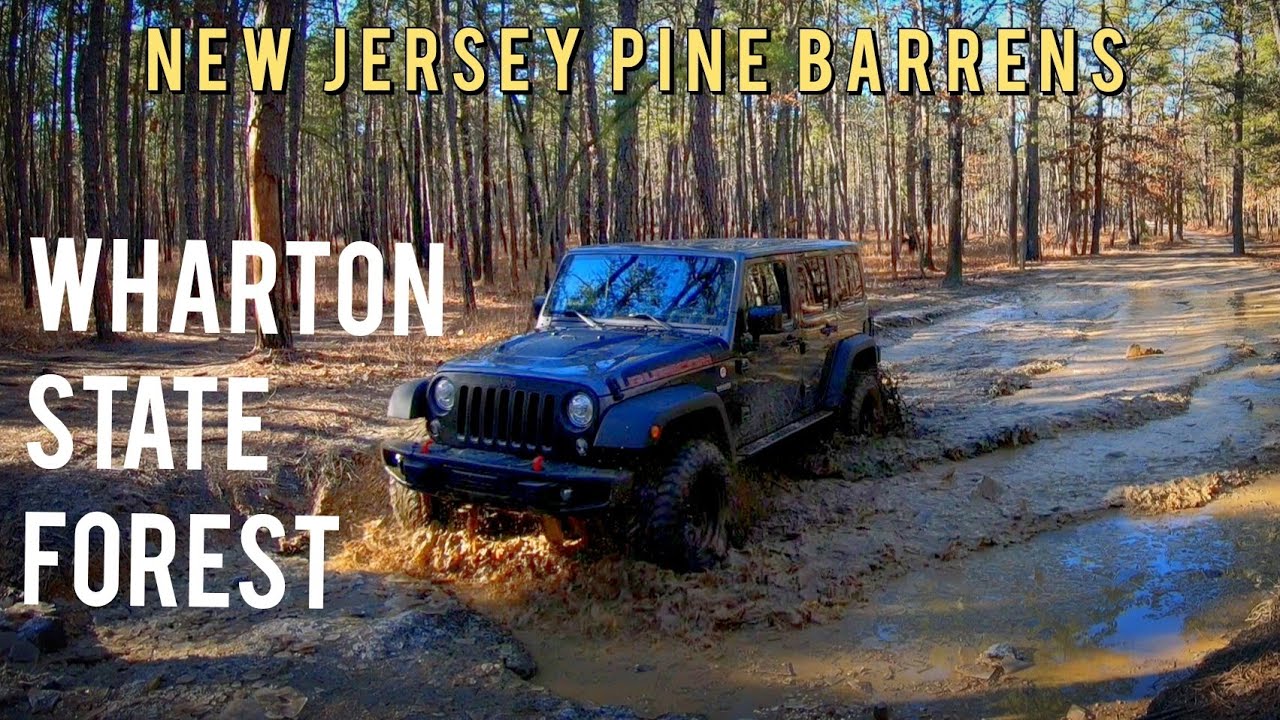 Wharton State Forest Exploring the New Jersey Pine Barrens Overland