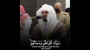 ياسر الدوسري سورة الجاثية (هَـٰذَا بَصَـٰۤئِرُ لِلنَّاسِ وَهُدىً وَرَحْمَةٌ لِّقَوْمٍ یُوقِنُونَ)