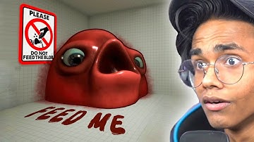 *DO NOT FEED* The Blob..