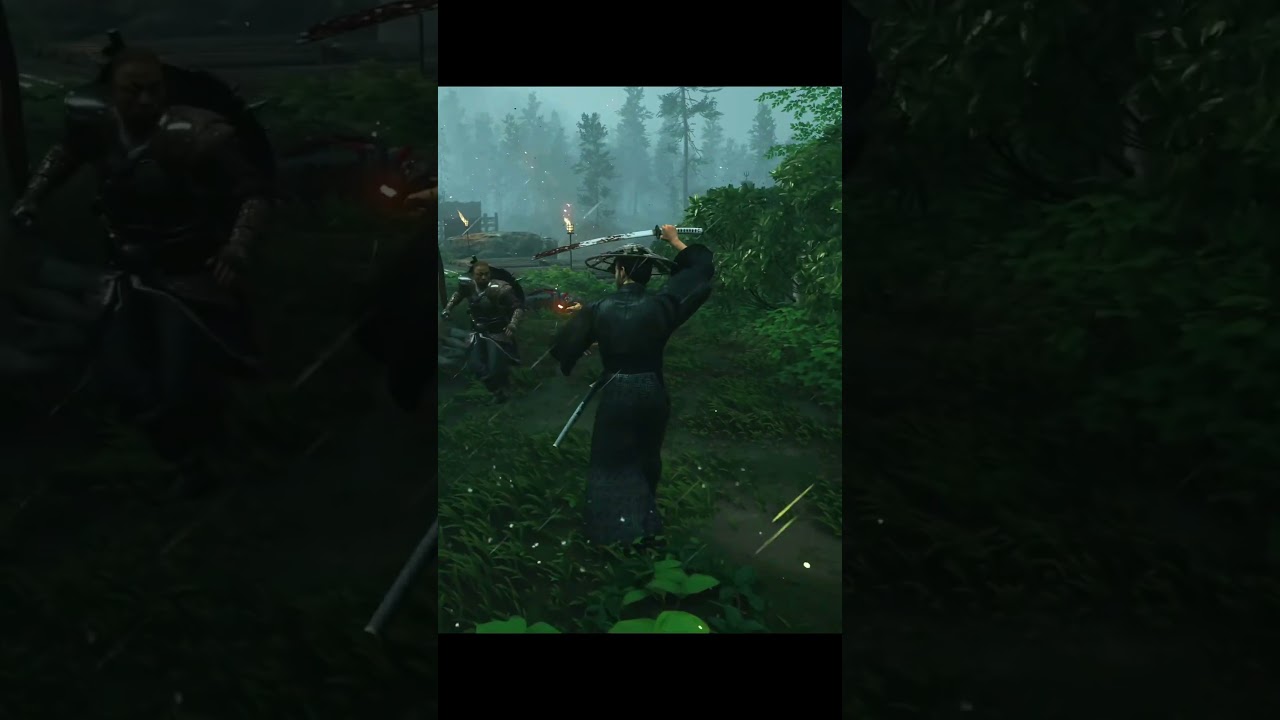 Black Ronin • Brutal Combat Kills • Ghost of tsushima