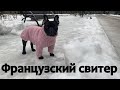 Свитер с попоной для французского бульдога