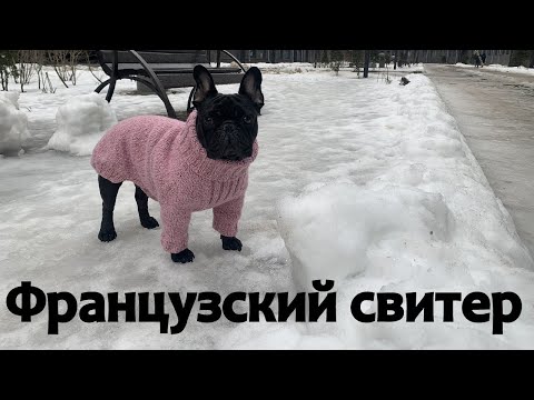 Вязаная одежда для мопса своими руками схемы вязание