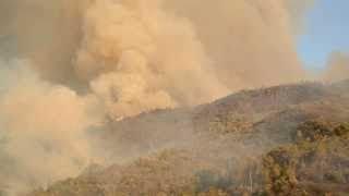 Incendio Quiroga Larouco