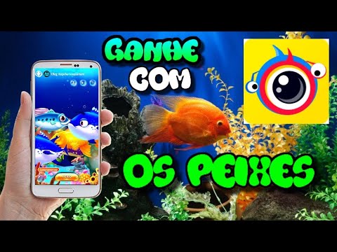 ClipClaps JOGO do Peixe – Aquarium