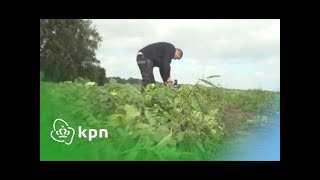 Download Lagu KPN en smartfarming binnen IOF2020 MP3