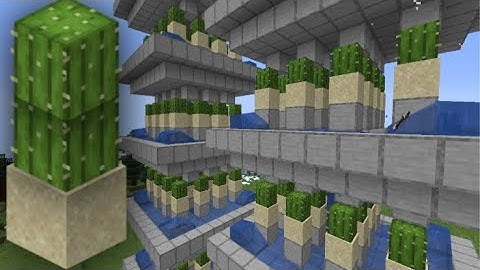 Simple Auto Cactus Farm Tutorial - Minecraft 1.16