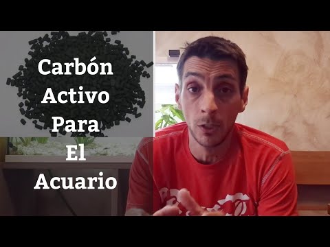 Video: ¿El carbón es seguro para los peces?