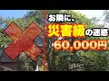 【伐採】コレ伐ります
