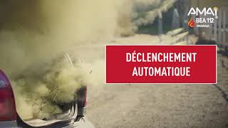 Bea 112 Originale Boule Extincteur Automatique