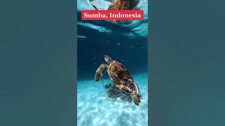 Travel bucket list 2023. Top travel destinations. Best places to travel. Travel 2023.