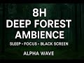 8 Hours of Deep Forest Ambience for Sleep &amp; Focus | Black Screen | Nature Sounds