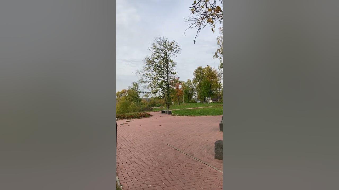 вятка займ котельнич