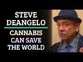 New West Summit #559 Steve DeAngelo - Cannabis Can Save The World