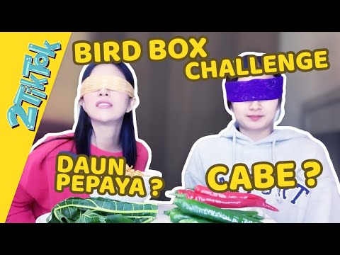Bird Box Challenge !! pilih CABE atau DAUN PEPAYA ya ?? wkwkk...