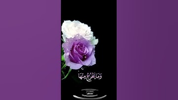 صباح الخير💜اجمل حالات واتساب مقاطع قصيره💜قران كريم هوالذي خلق السماوات والأرض💜سعد الغامدي بدون حقوق