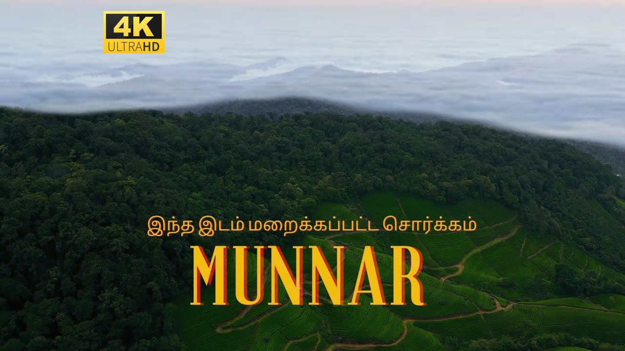 Gem of Munnar | Mankulam | Anakulam | My first vlog :) Tamil travel VLOG (English cc ) | 4k kerala