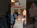 Bark At You Dog And See His Reaction #dogreaction #funnydogs #pets #petcomedy
