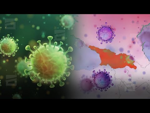 სეზონური ვირუსები საქართველოში | ინფექციონისტების გაფრთხილება მოსახლეობას