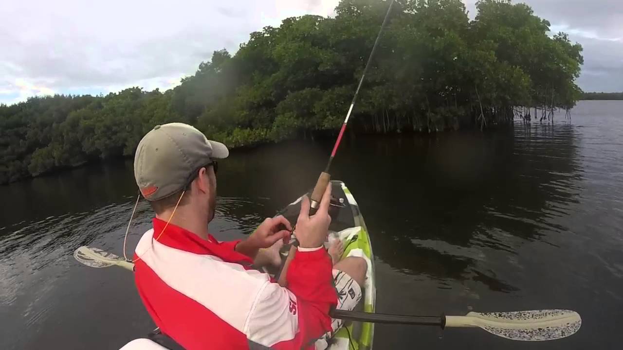 Kayak fishing Redfish in Tampa Bay YouTube