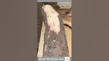 The Process Of Removing The Bark From A Tree
