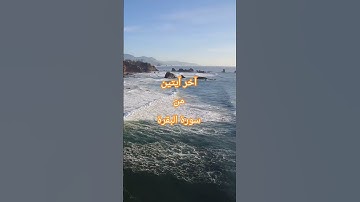 آخر آيتين من سورة البقرة #قرآن_كريم #alquran #اكسبلور