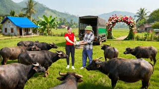 Use a Truck to Buy 20+ Buffaloes from Villagers | Traders Come to the Farm to Purchase Buffaloes