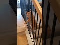 now what 🤨🐱 #funnyanimals #funnyshorts #funny #catshorts #funnycats #catvideos #cat #catlife #fyp
