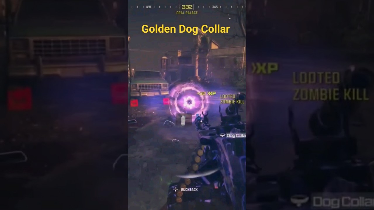 MWZ How To Get The Gold Dog Collar 😎#cod #callofduty #ps5 #warzone #mw3