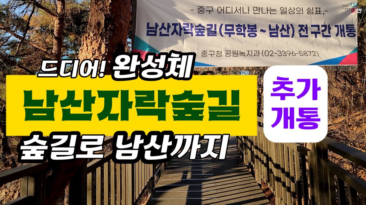 완전체 '남산자락숲길' | 24년12월 추가개통 | 버티고개-남산입구 | 숲길따라 남산까지