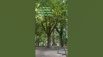 #viralvideo #yasseraldossary #المانيا #راحة_نفسية #تلاوة_خاشعة #تلاوة_هادئة #quran #vlogs #kuran